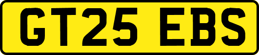GT25EBS