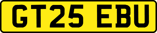 GT25EBU