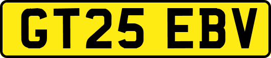 GT25EBV