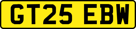 GT25EBW