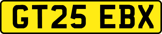 GT25EBX