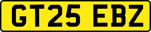 GT25EBZ