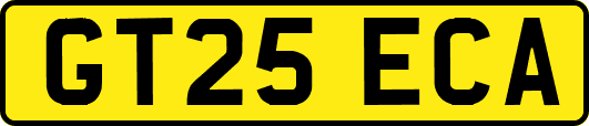 GT25ECA