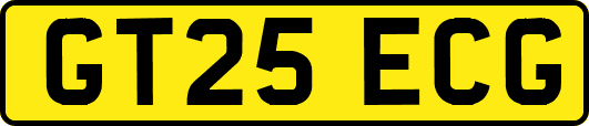 GT25ECG