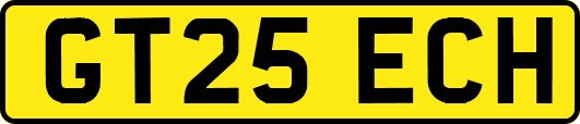 GT25ECH