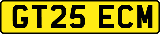 GT25ECM