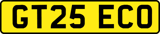 GT25ECO