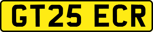 GT25ECR