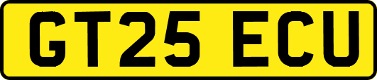 GT25ECU