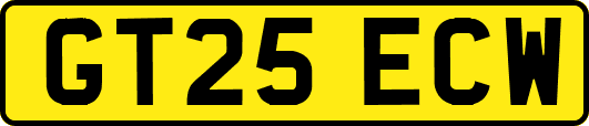 GT25ECW