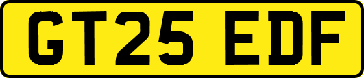 GT25EDF