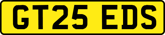 GT25EDS