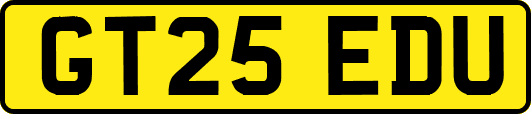 GT25EDU