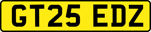 GT25EDZ