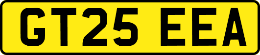 GT25EEA