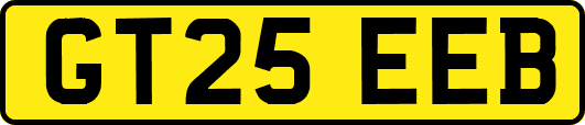 GT25EEB