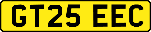 GT25EEC