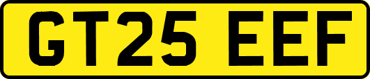 GT25EEF