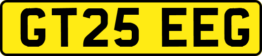 GT25EEG