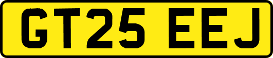GT25EEJ