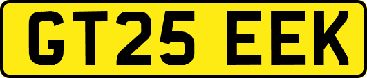 GT25EEK