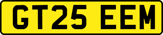 GT25EEM
