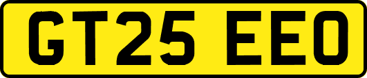 GT25EEO