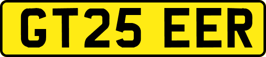 GT25EER