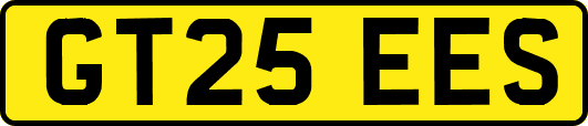 GT25EES