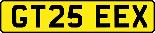 GT25EEX