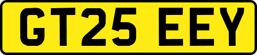 GT25EEY