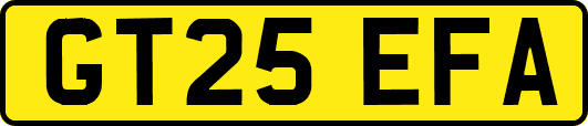 GT25EFA
