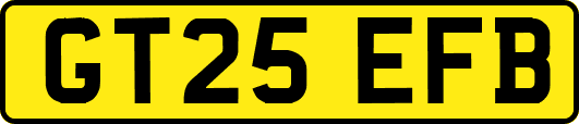 GT25EFB