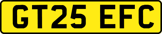 GT25EFC