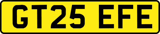 GT25EFE