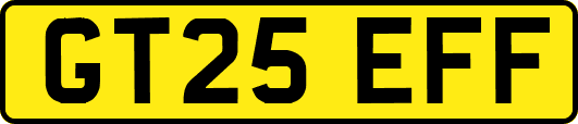 GT25EFF