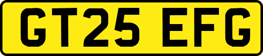 GT25EFG