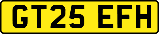 GT25EFH