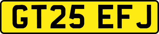 GT25EFJ