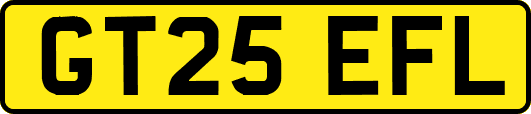 GT25EFL