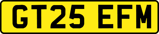 GT25EFM
