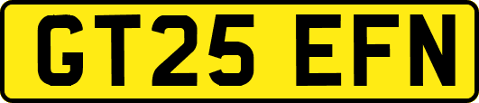 GT25EFN