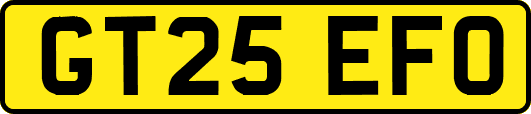 GT25EFO
