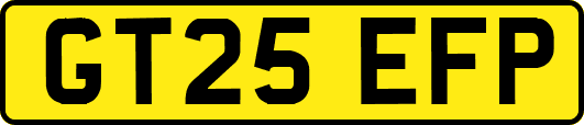 GT25EFP