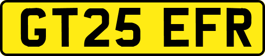 GT25EFR