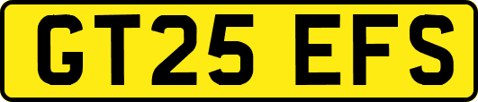GT25EFS