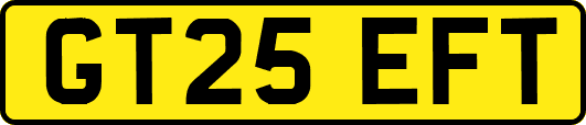 GT25EFT