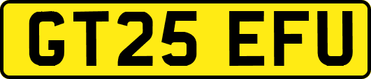 GT25EFU