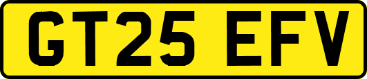 GT25EFV