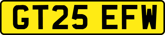 GT25EFW